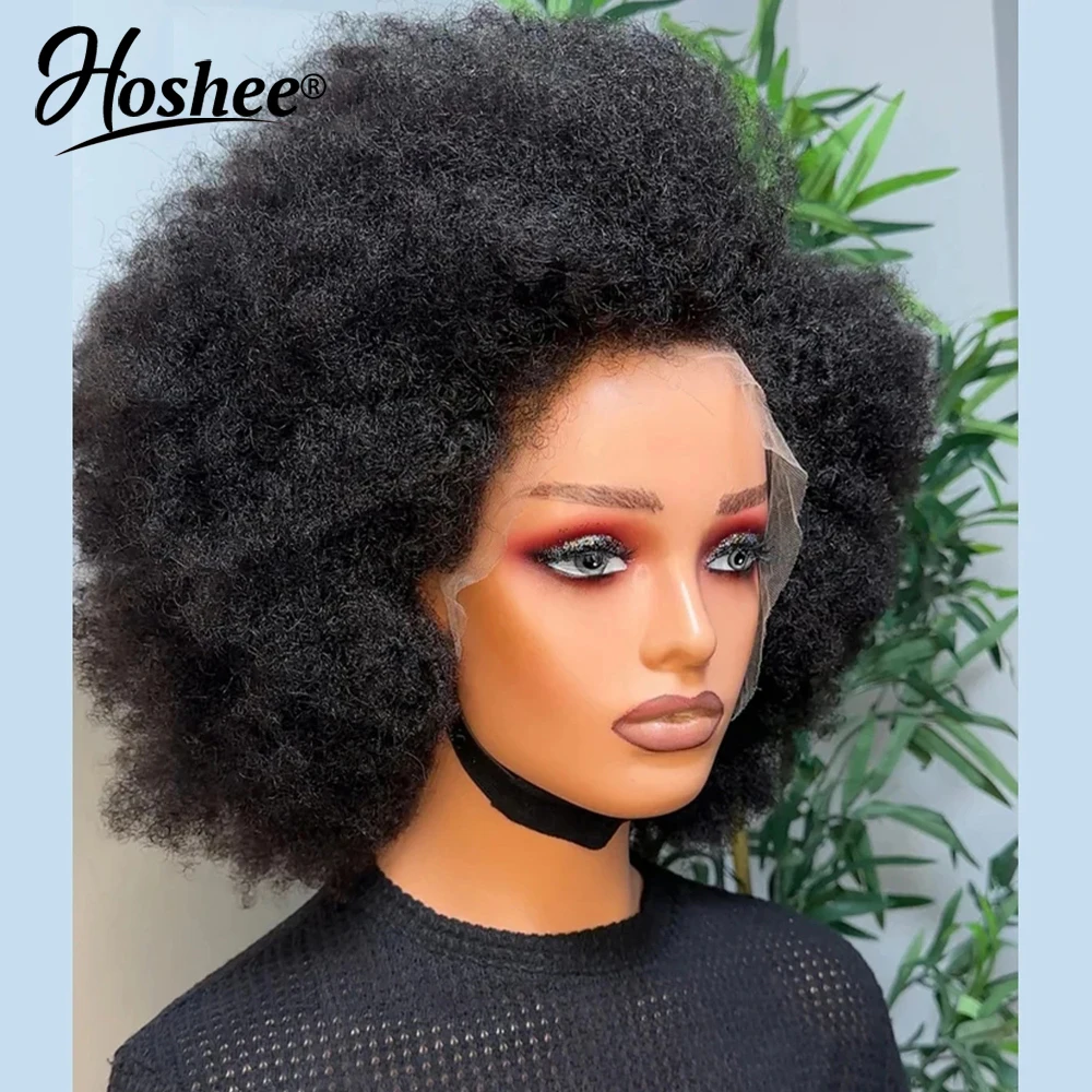Afro Kinky Curly 13x4 Lace Front Human Hair Wigs High Density 4x4 Lace Closure Wig Preplucked Brazilian Curly Wig 250% Remy Hair