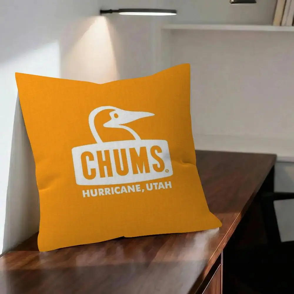 Toon Gift Decorative Pillowcase