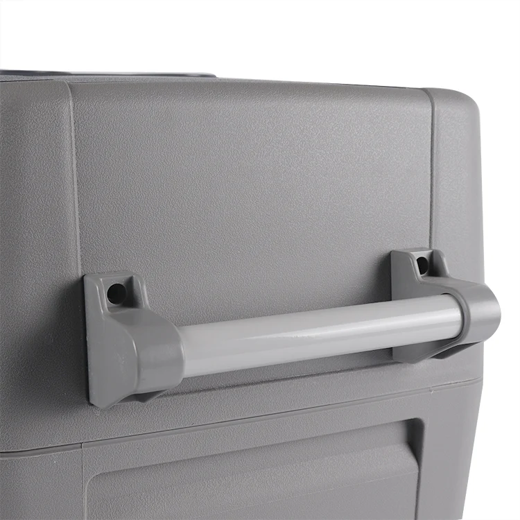 Dual refrigeration car refrigerator mini small Portable Cooler mini Car Fridge 12v 220v