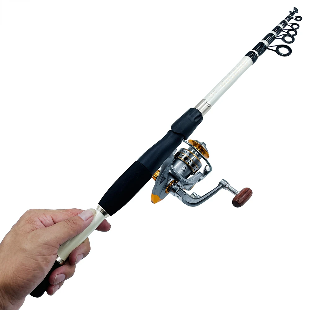 Lure Fishing Rod Combo Telescopic Travel Surfing Fishing Pole 5/6/7/8  Section and Spinning Metal Reel 5.2:1 Saltwater Freshwater