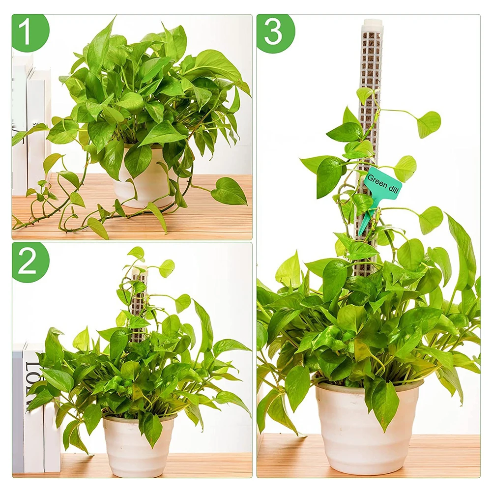 Stackable Moss Pole with Self Watering Feature Promotes Thriving Foliage Effortless Planting Perfect for Monstera