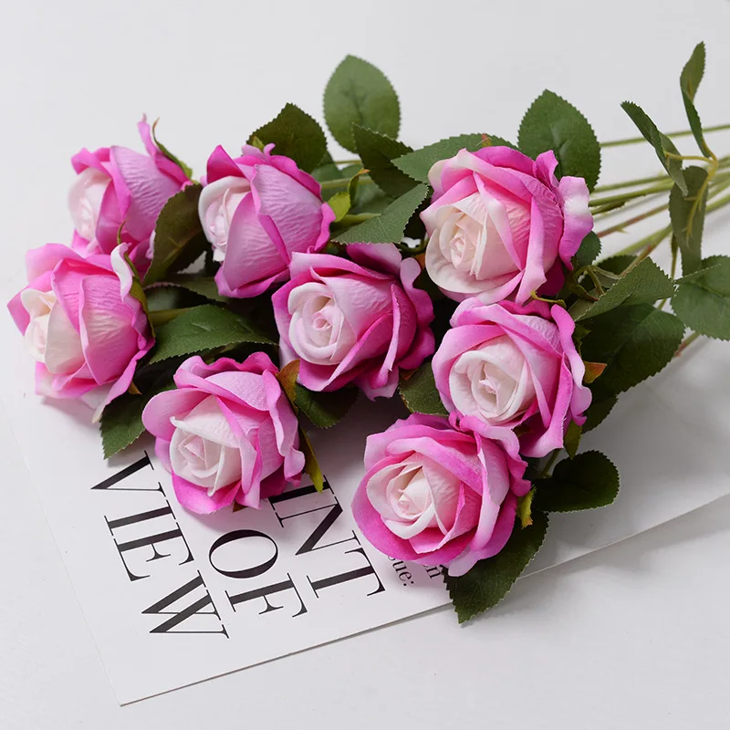 dark pink rose
