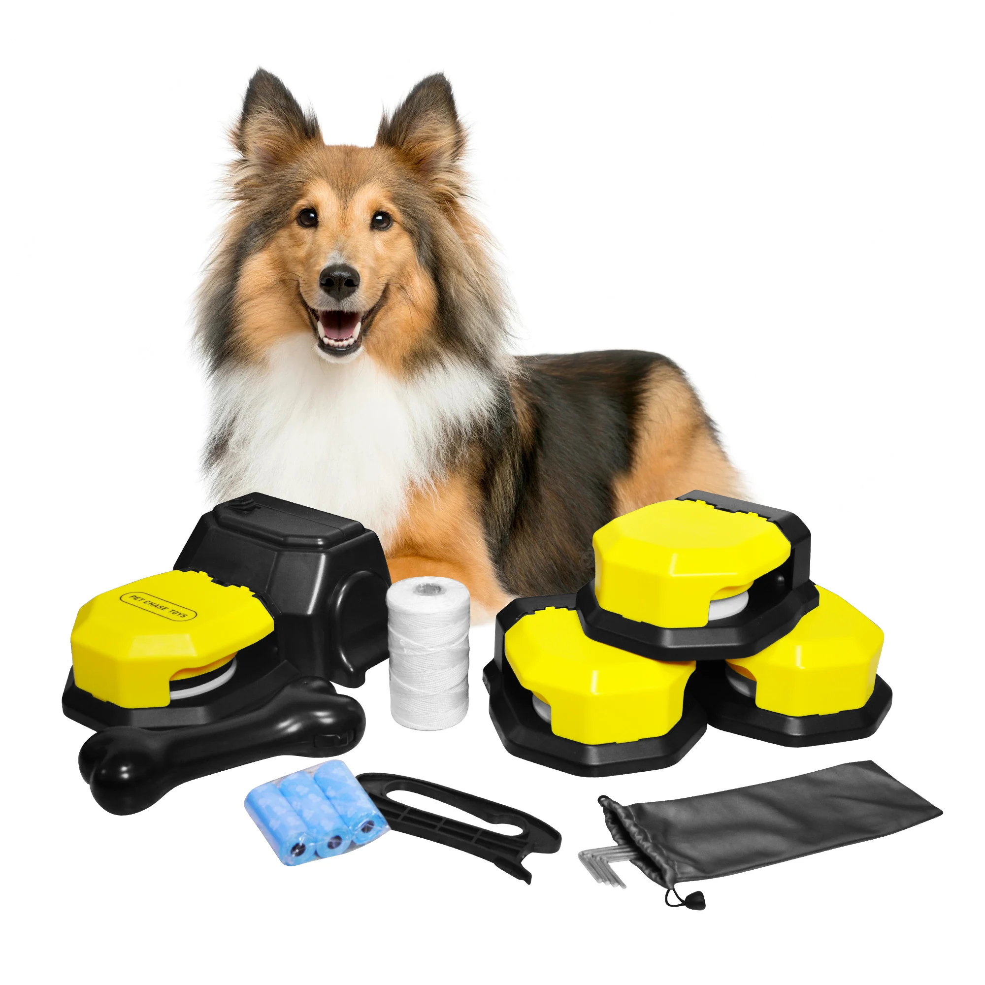 Lure Course Machine for Dogs, Interactive Dog Toys, Pet Chase