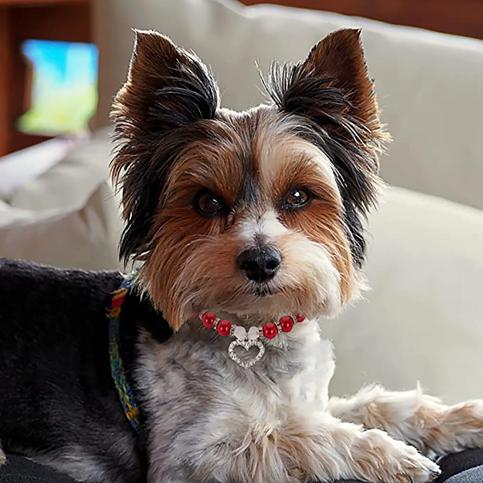Cute Pet Jewelry Pearl Collar 1 Piece Pet Pearl Collar For Small Cat Dog Dog Bone Pendant Jewelry Accesorios Mascotas