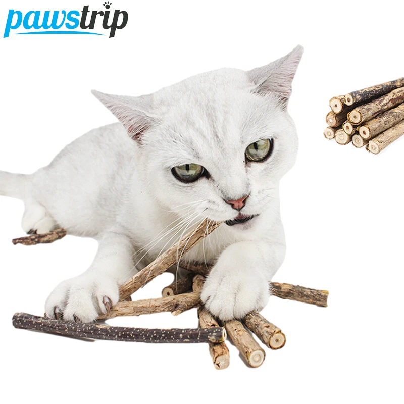 

10/20Pcs Natural Matatabi Sticks Catnip Cat Toy Kitten Snacks for Cleaning Tooth Molar Chew Toys Cat Sticks Pet Supplies
