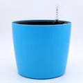 1PC blue