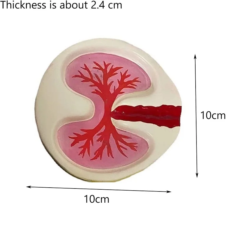 Pink Lung Ashtray Resin Funny Cool Desktop Cigarettes Smoking Cigar Ashtray Home Smokers Ash Tray Holder Creative Ashtrays Tray portable ashtray cigarettes ashtray silicone ashtray stainless steel ashtray metal ashtray ceramic ashtray