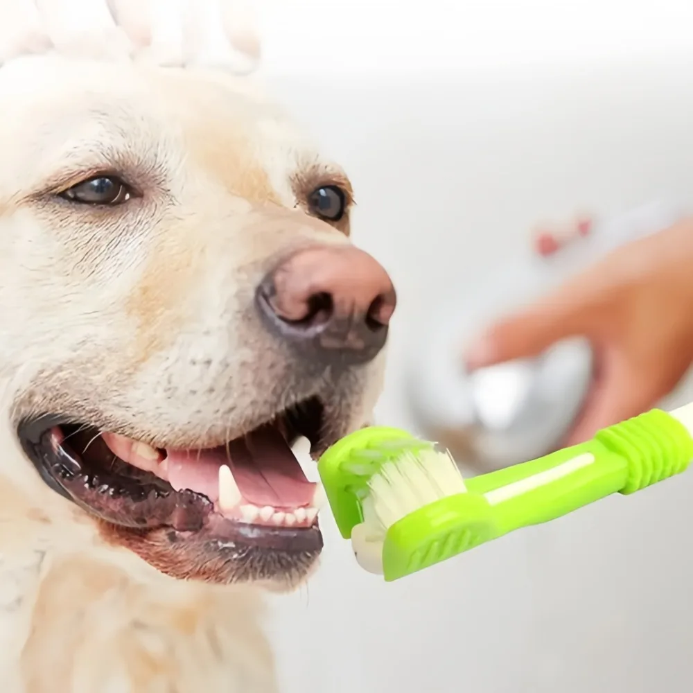3-Sided Pet Toothbrush for Dogs & Cats - Image 5