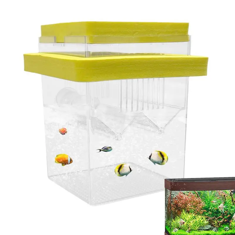 Fish Breeding Box Fish Breeding Box Floating Fish Hatchery Incubator Tank With Suction Cups Guppy Betta Isolation Box For Aquarium