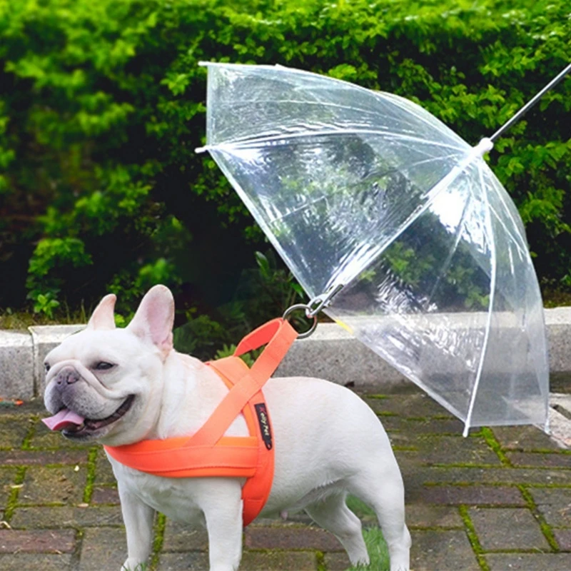 Impermeable Completo Para Perro Paraguas Mascota, Paraguas