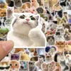 10/50/100pcs Funny Cute Cat MEME Animals Stickers Kawaii Decals Scrapbooking Notebook Luggage Laptop Skateboard Sticker Toy 5