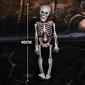 40cm