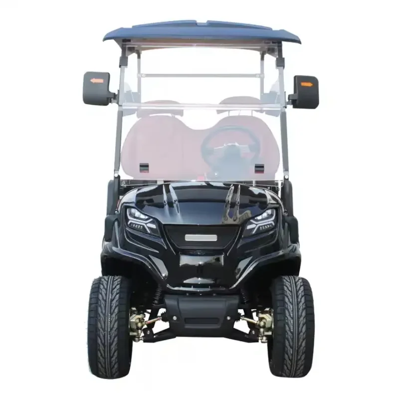 Energy Sightseeing Car Electric Mini 2 Seat Golf Cart With Lithium Battery