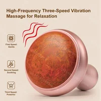 Electric Hot Stone Guasha Massager Vibration Lymphatic Drainage Fat Burner Body Detox Physiotherapy Back Waist Massage Scraping 1