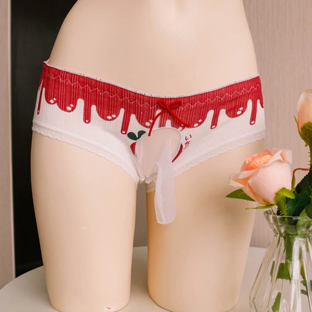 Mens Sexy Lace Briefs Sissy Pouch Panties Bikini Underwear