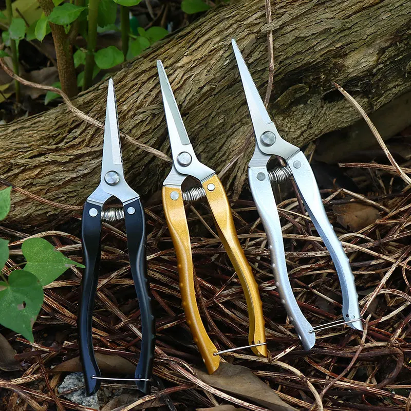 https://ae01.alicdn.com/kf/S9bd31dc964ac41618dceed5b02995a13E/Pointed-Pruning-Shears-Garden-Fruit-Picking-Shears-Flower-Pruning-Tool-Stainless-Steel-Sawtooth-Fruit-Tree-Rough.jpg