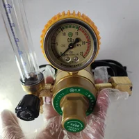 Pressure Regulator Pressure reducer CO2 Carbon dioxide heated pressure gauge 36V 110V 220V 1