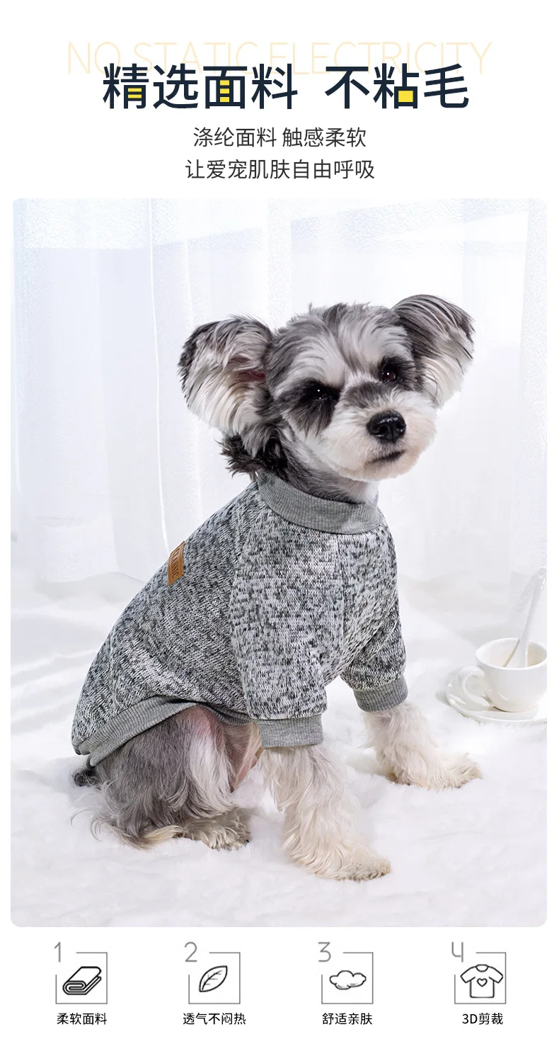 Small dog wearing a soft knitted round neck jumper