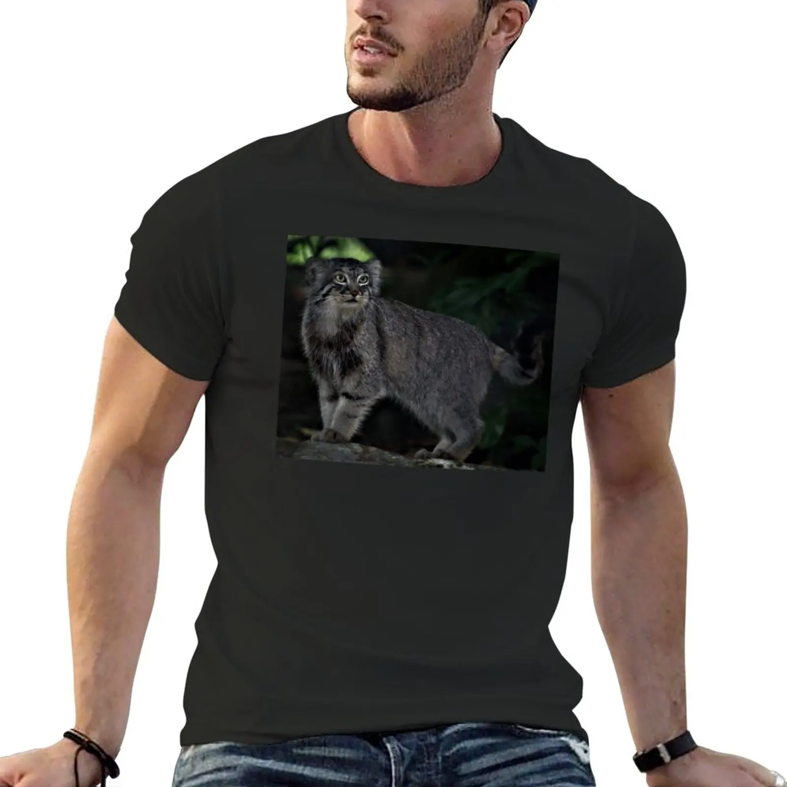 

Pallas Cat T-Shirt cute clothes Tee shirt men clothing