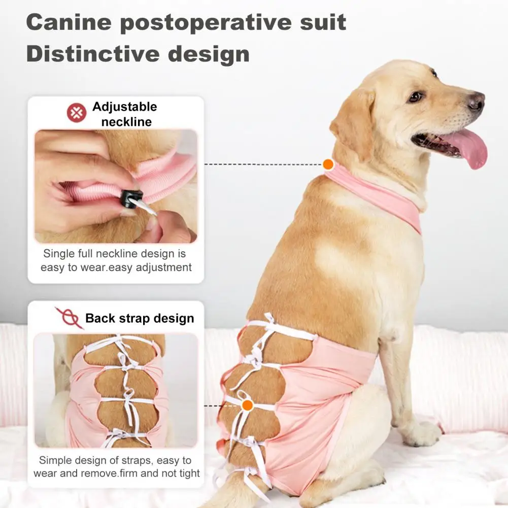 

Comfortable Dog Recovery Outfit Pet Surgical Suit for Dog Thigh Wound Recovery Male Female Dog Surgery Recovery for Spay