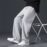 Grey Thin Straight Leg Casual Sports Pants for Men Spring Autumn Loose Fit Comfortable Male Leisure Trousers Boys Sweatpants