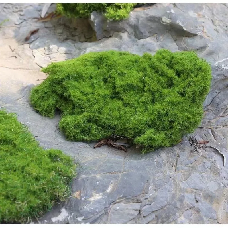Simulation of Moss Plants Micro Landscape Rockery Artificial Lawn Decoration