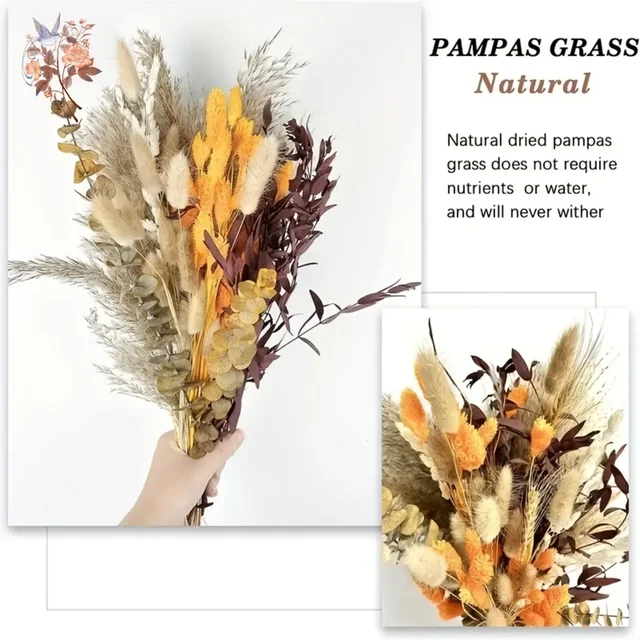 100Pcs Natural Dried Pampas Bouquets Autumn Decoration