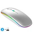 LED Sliver