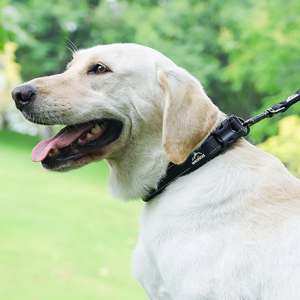Heavy Duty Dog Collar For Large And Medium Breeds Durable Nylon_voghion.com