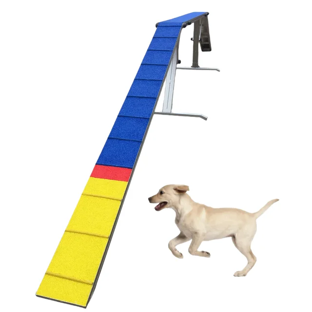 Dog Agility Dog Training For Aggressive Dogs Agility Beginners