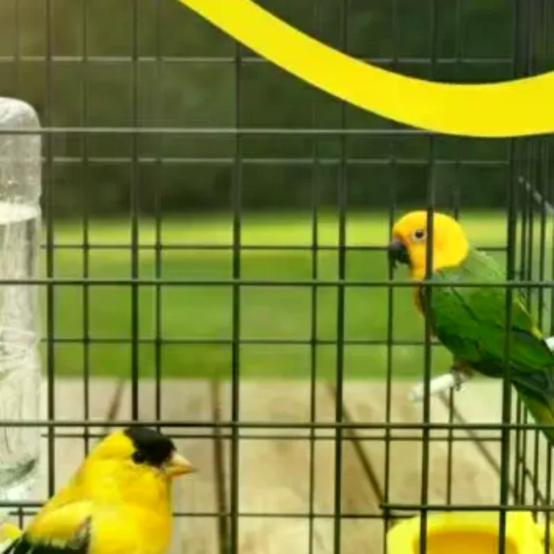 Bird Feeder Drinker Water Bottle Drinking Cups Large Capacity Automatic Water Dispenser For Quails Chicken Parrot Pigeons
