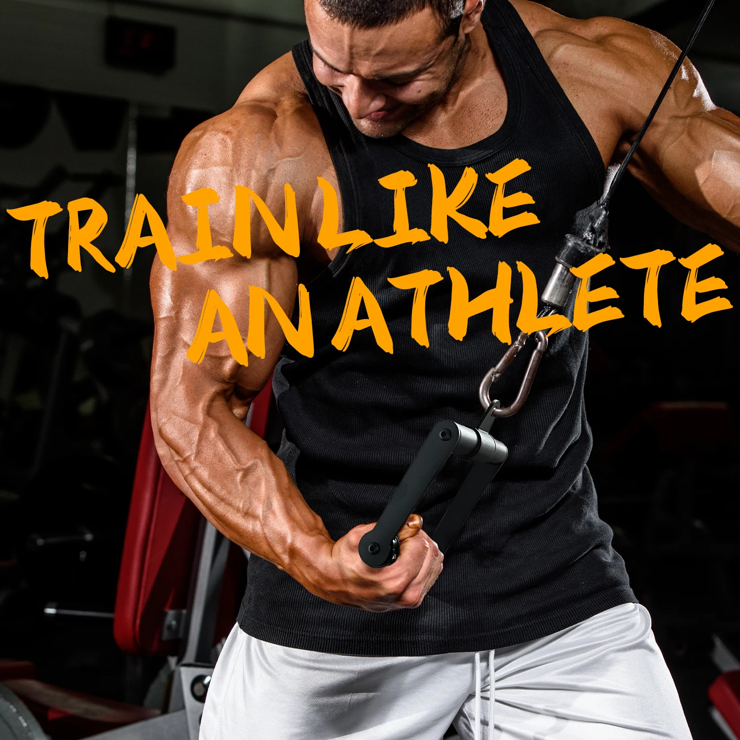 S9be5e66f55f24c9e84edbd40eb5fe094U