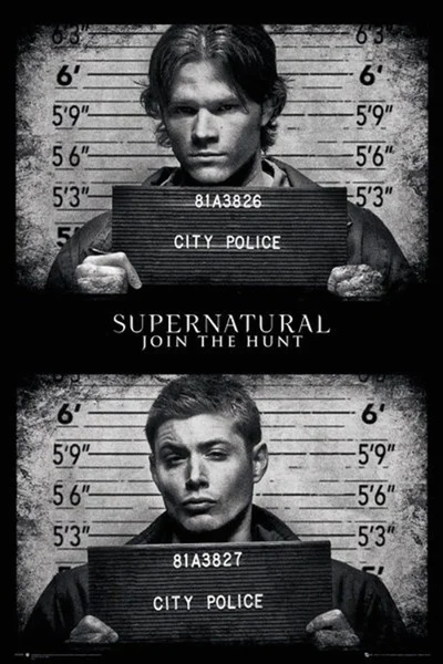 

SUPERNATURAL MUGSHOT POSTER Dean and Sam Winchester Metal Tin Si