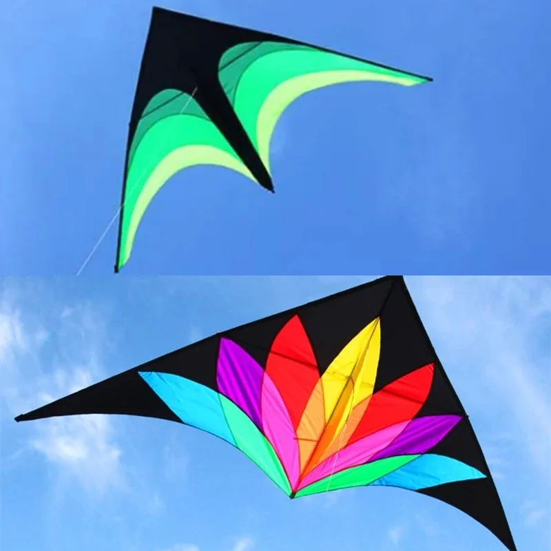 Spedizione Gratuita 2M Large Delta Kite Flying Toys Line Kids Aquiles Factory Delta Aquiloni Flight Kite String Reel Beach Wind Parrot Game