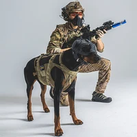Тактический шлем для дрессировки собак K9, военный охотничий шлем для больших собак, патруль, овчарка, мотоциклетный защитный шлем с очками — изображение 4