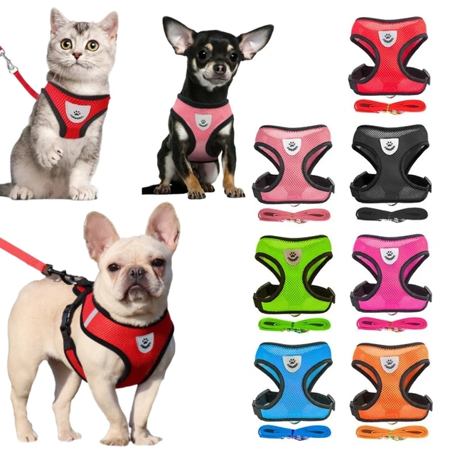 Breathable Mesh Cat Small Dog Harness And Leash Kitten Cats Harnesses Little Dog Puppy Harness For French Bulldog Chihuahua Pug 1 Breathable Mesh Cat Small Dog Harness And Leash Kitten Cats Harnesses Little Dog Puppy Harness For French Bulldog Chihuahua Pug 1
