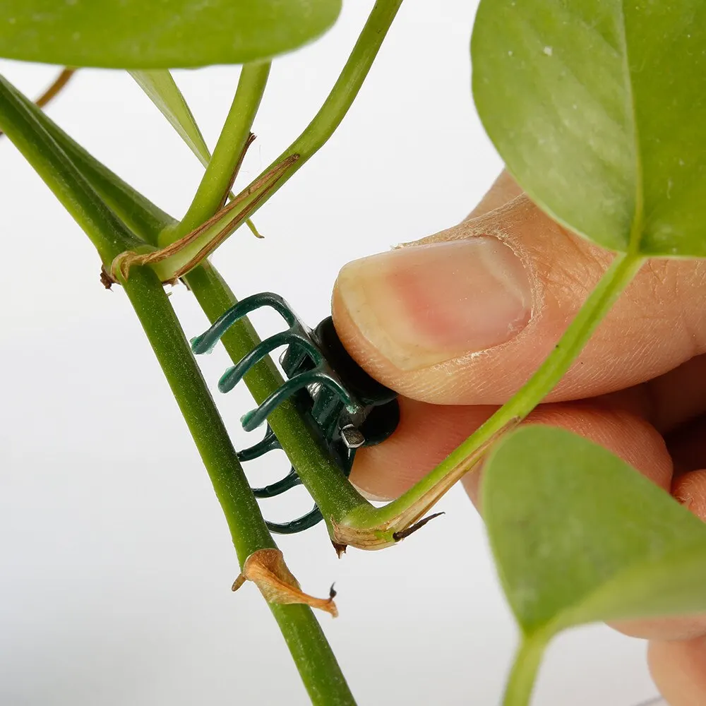 Plastic Plant Clips Plant Clips Plastic Plant Supports Plant Stem Support Plant Ties Plant Support Connector Plant Support Stick 100pcs Garden Plant Clips Plastic Support Orchid Stem Clip for Vine Vegetables Flower Tied Bundle Branch Clamping Garden Tool