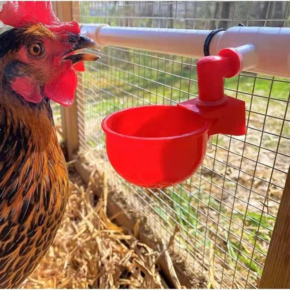 Automatic Chicken Water Cup Waterer Bowl Kit Farm Coop Poultry Waterer For Chicks Duck Goose Turkey Quail