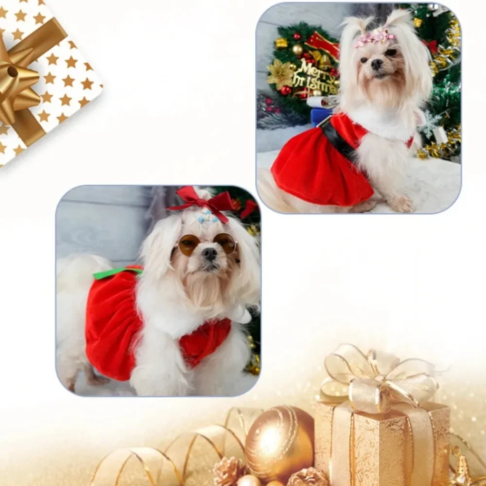 Pet dress for dogs and cats