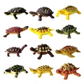 12Pcs Mini Turtle A