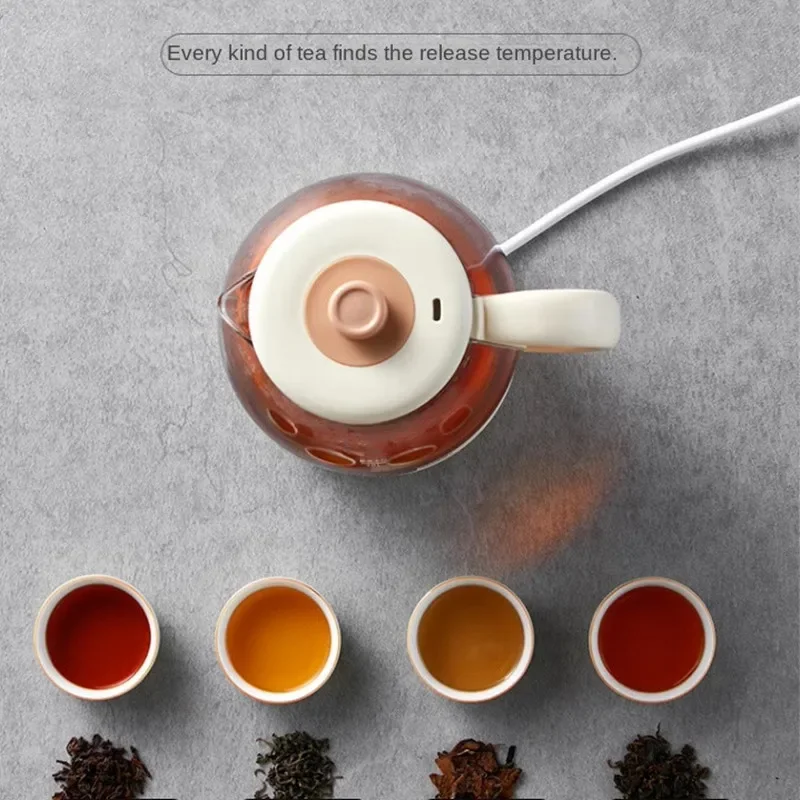 220V 1000ML Electric Teapot Electric Tea Stove Tea Cooker Steamer Household Fully Automatic Spray Type Kettle