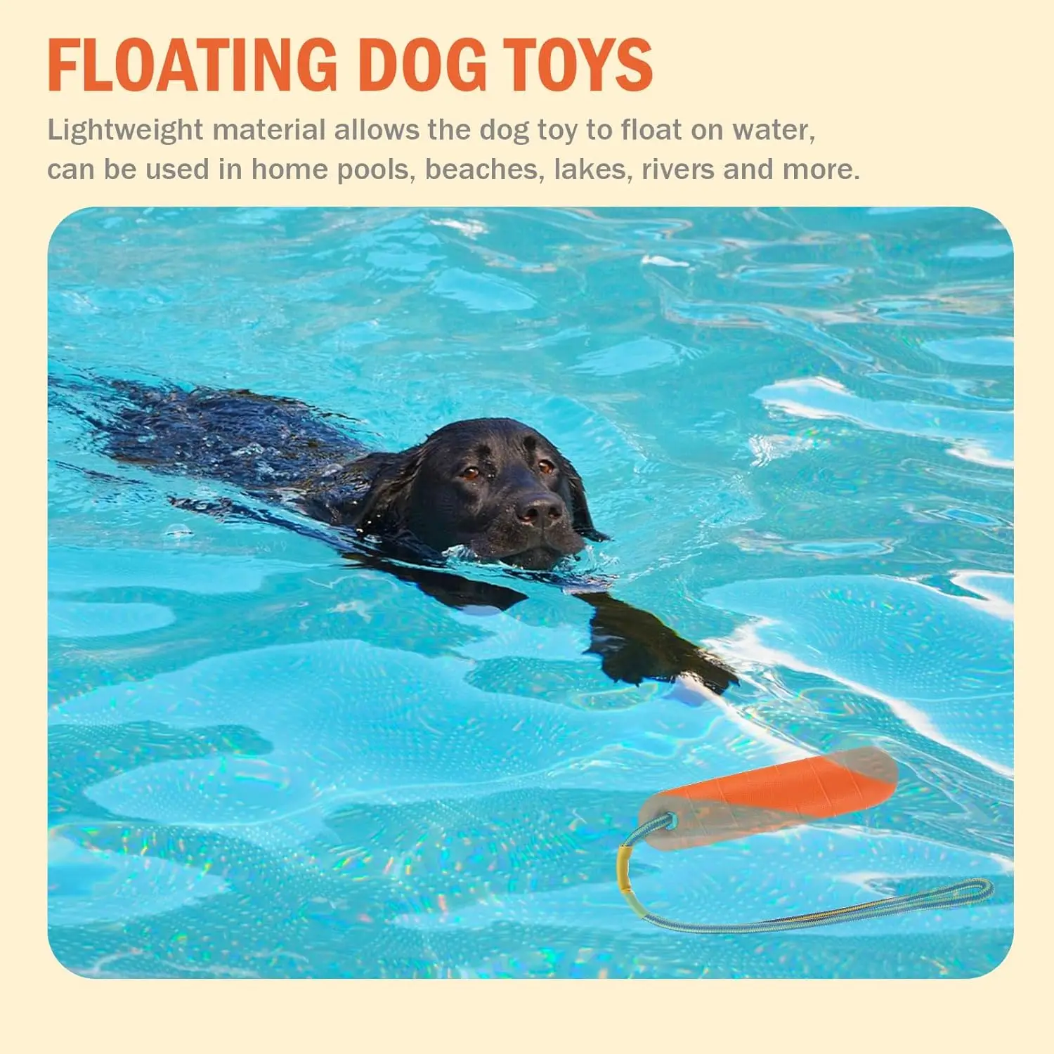 Floating Dog Toy 2