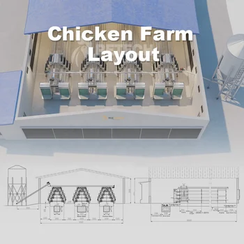 A Type Battery Layer Chicken Cages Automatic Egg Poultry Farming Equipment System 5