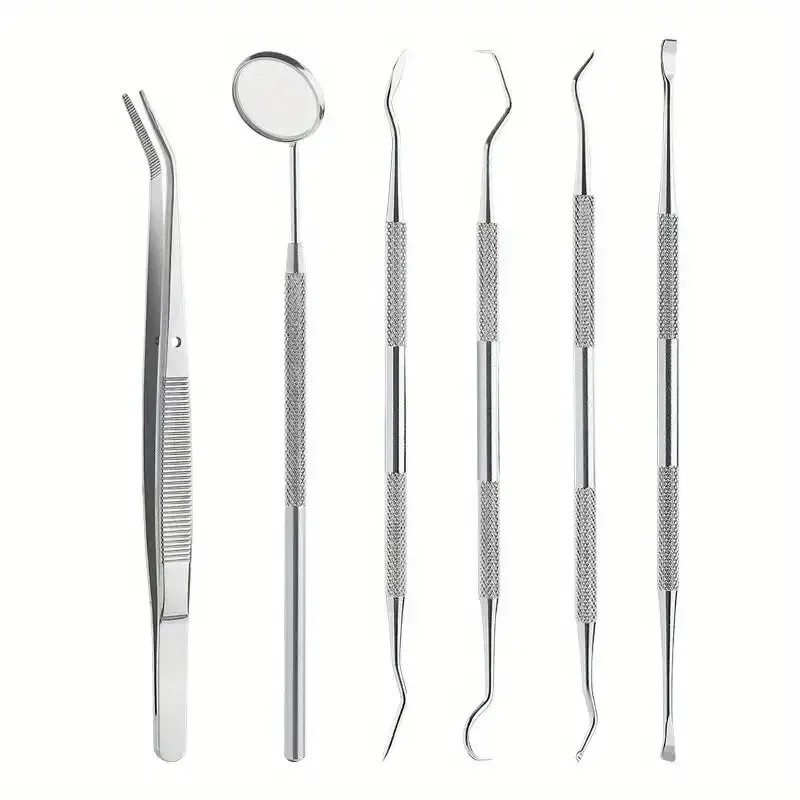 Stainless Steel Dentist Oral Tools Cleaning Flossing Tartar Removal Kit