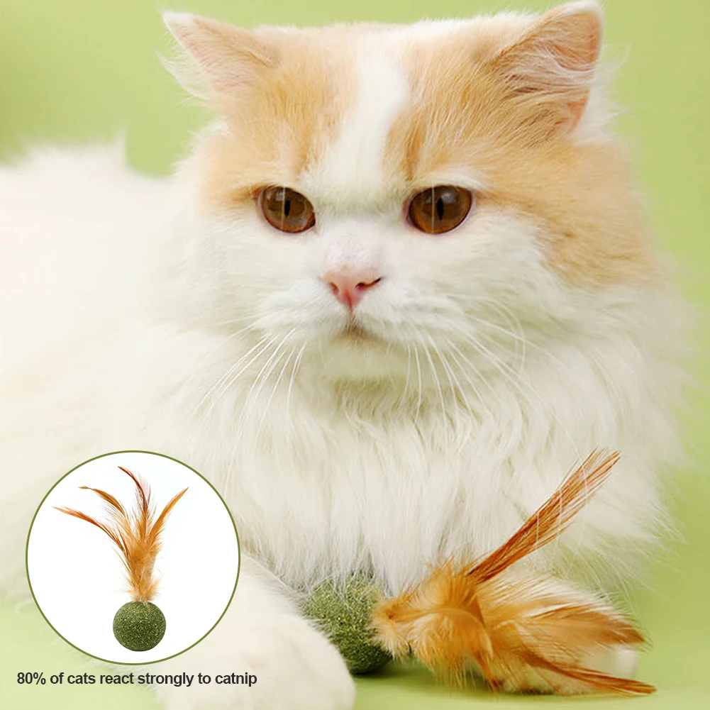 Cute Shape Freshen Catnip Ball Toy Cat Licking Playing Snacks Cat Mint Breath Mint Lollipop Toy Cat Supplies Pet Digesting Tool