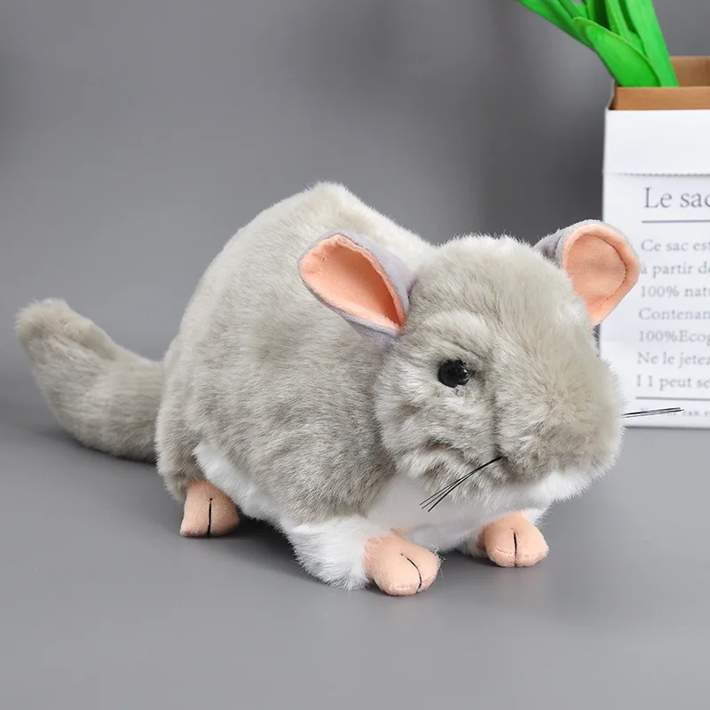 25CM Real Life Fat Chinchillas Plush Stuffed Animals Soft Toys Lovely Chinchilla lanigera Molina Plush Doll Mascot for Kids Gift