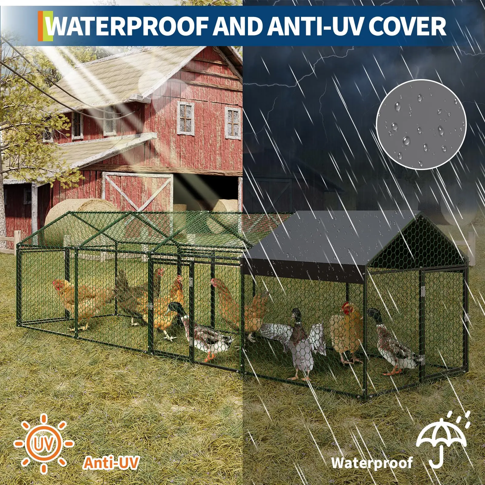 Heavy Duty Walk-in Metal Chicken Coop 3