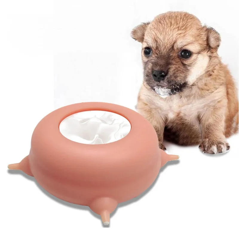 Small Cat Bowls Small Dog Bowls Teacup Pet Bowls Cute Pet Bowls