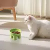 Non-Slip Cat Bowl Pet Water Food Feed Dog Bowls 45° Inclination Stand Feeders Tall Cat Bowl Anti-dumping Pet Feeding Supplies 5