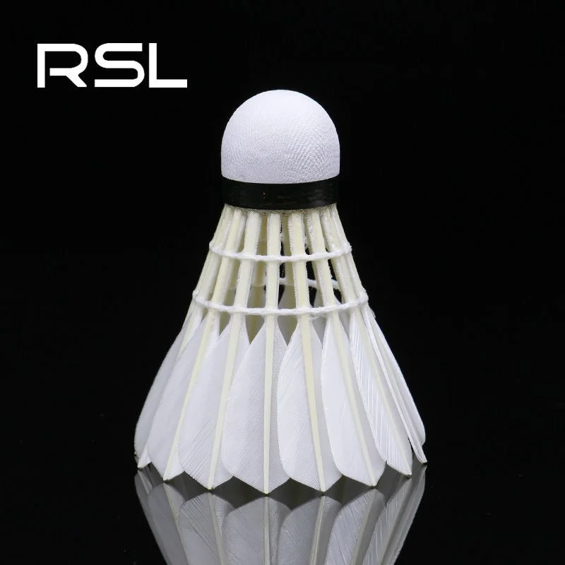 Рисунок 5 - Мяч для игры в бадминтон Asia Lion No. 4 RSL No. 4